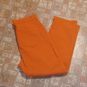 Gloria Vanderbilt Amanda JEeans Rust Color Size 12 P COURT